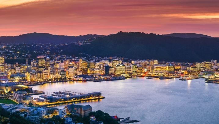 Wellington city and harbour from Mount Victoria